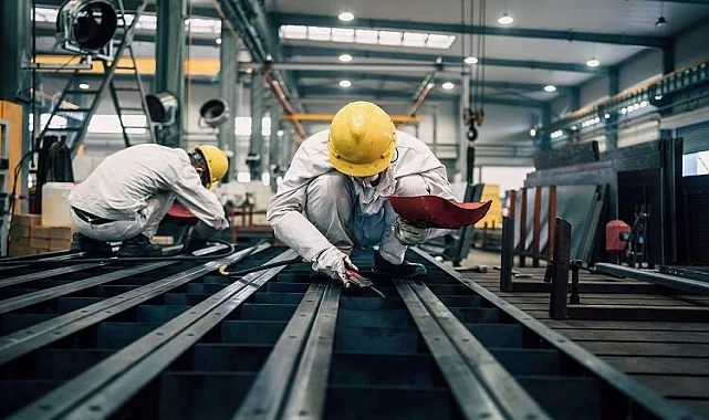 Mamak İlaçlama Şirketi